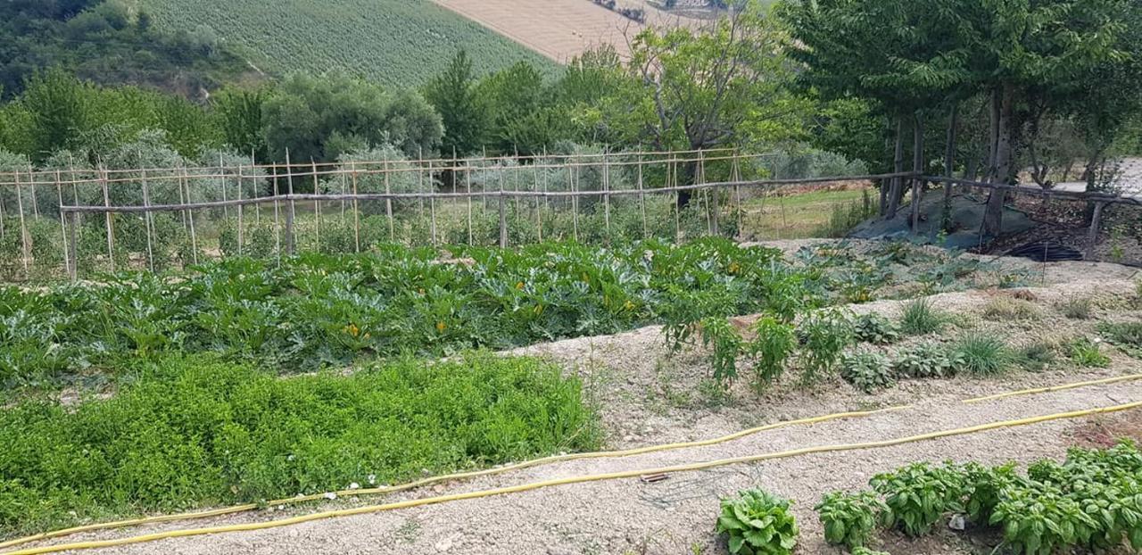 Agriturismo Fiore Di Campo Fermo Eksteriør bilde